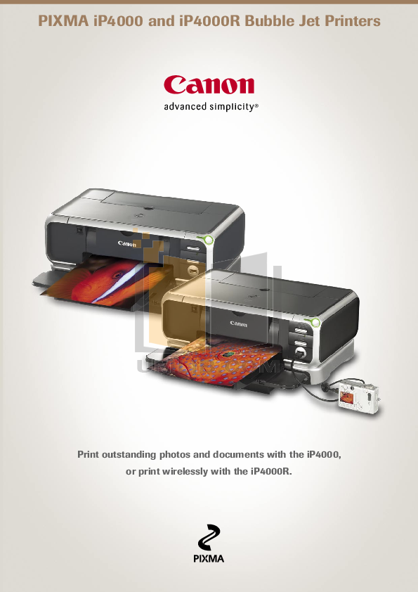 Canon ip4000 ink