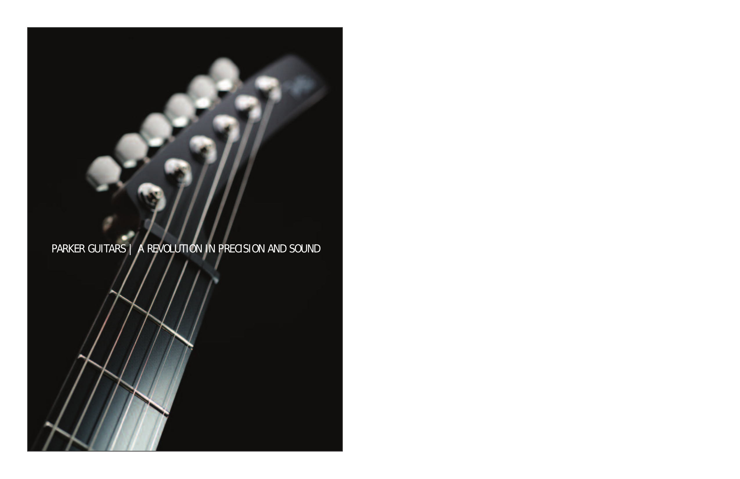 pdf for Parker Guitar Nitefly manual