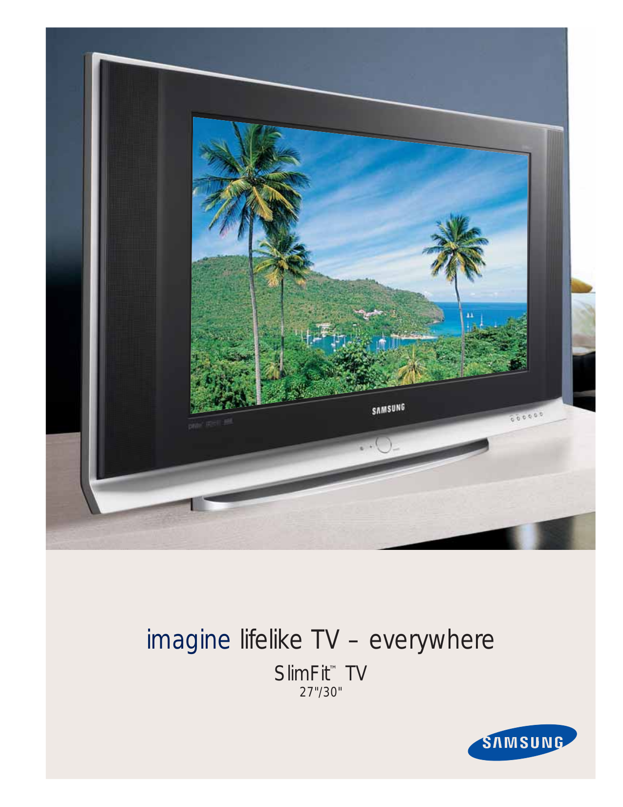 pdf for Samsung TV TX-S3082WH manual