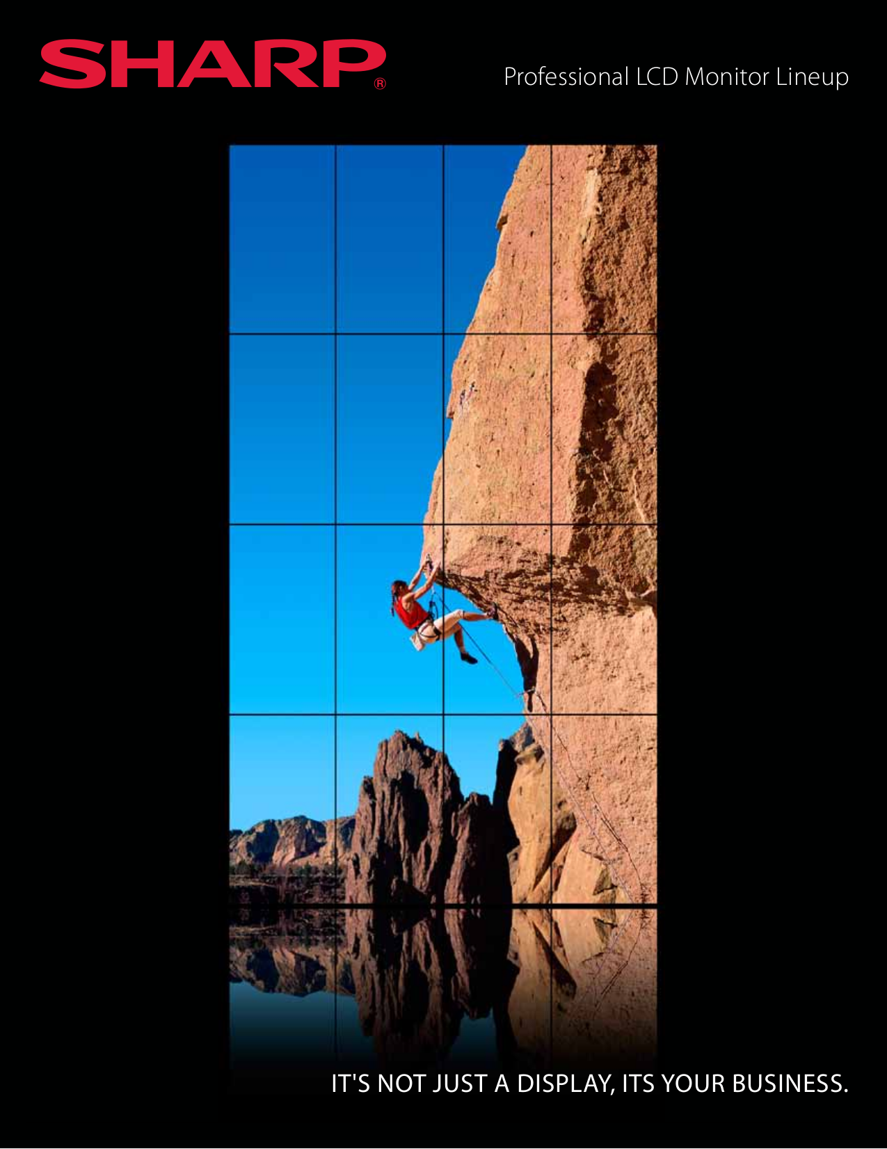 pdf for Sharp Monitor PN-V601 manual