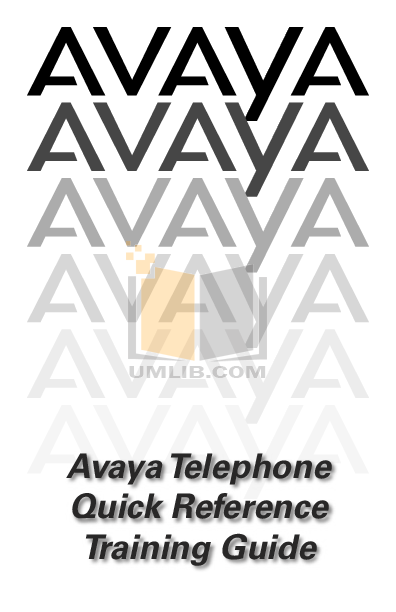 Download free pdf for Avaya 2410 Telephone manual