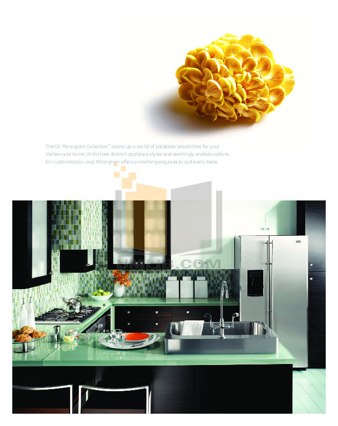 PDF manual for GE Oven Monogram ZET938SMSS