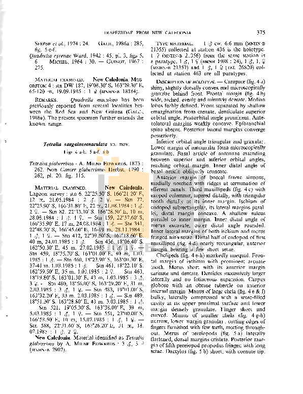 Curtis Telephone T1894 pdf page preview
