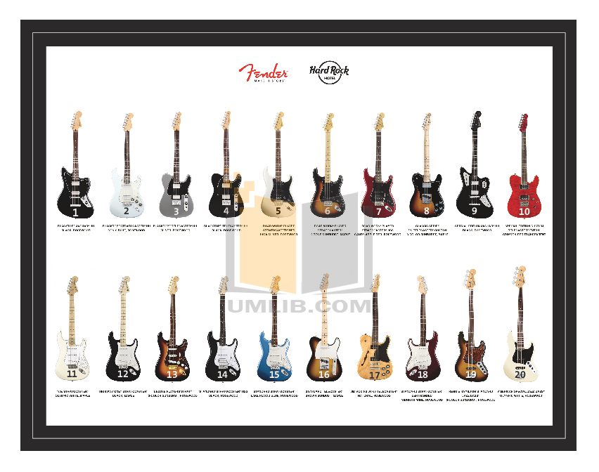 Download free pdf for Fender Standard Stratocaster Guitar manual