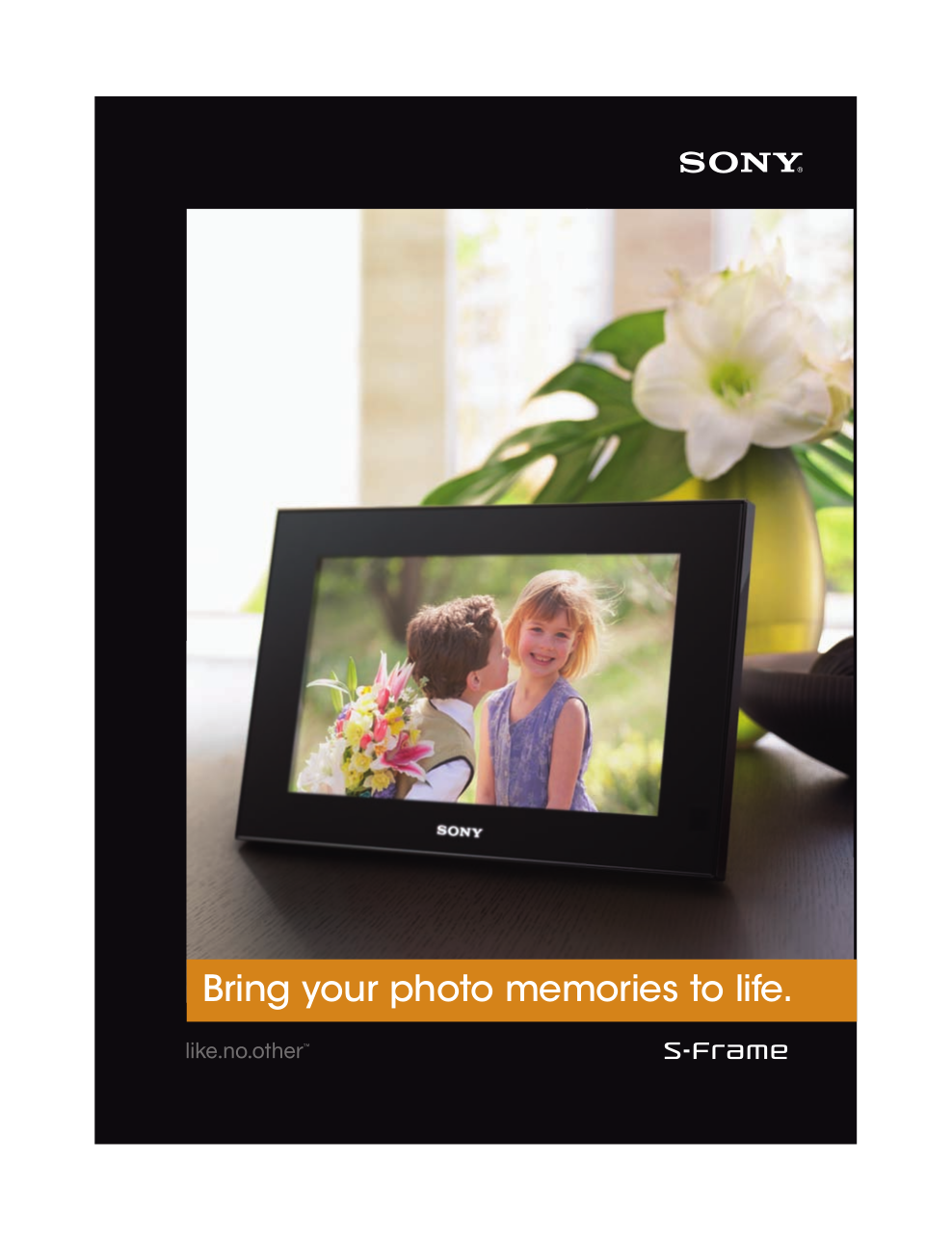 Download free pdf for Sony DPFD70 Digital Photo Frame manual