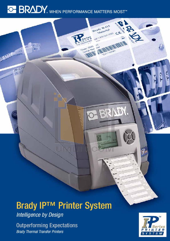 PDF manual for Brady Printer BPIP300