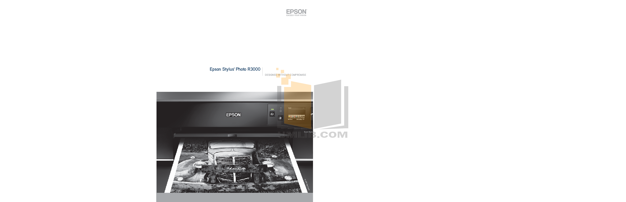 Download free pdf for Epson Stylus Photo R3000 Printer manual