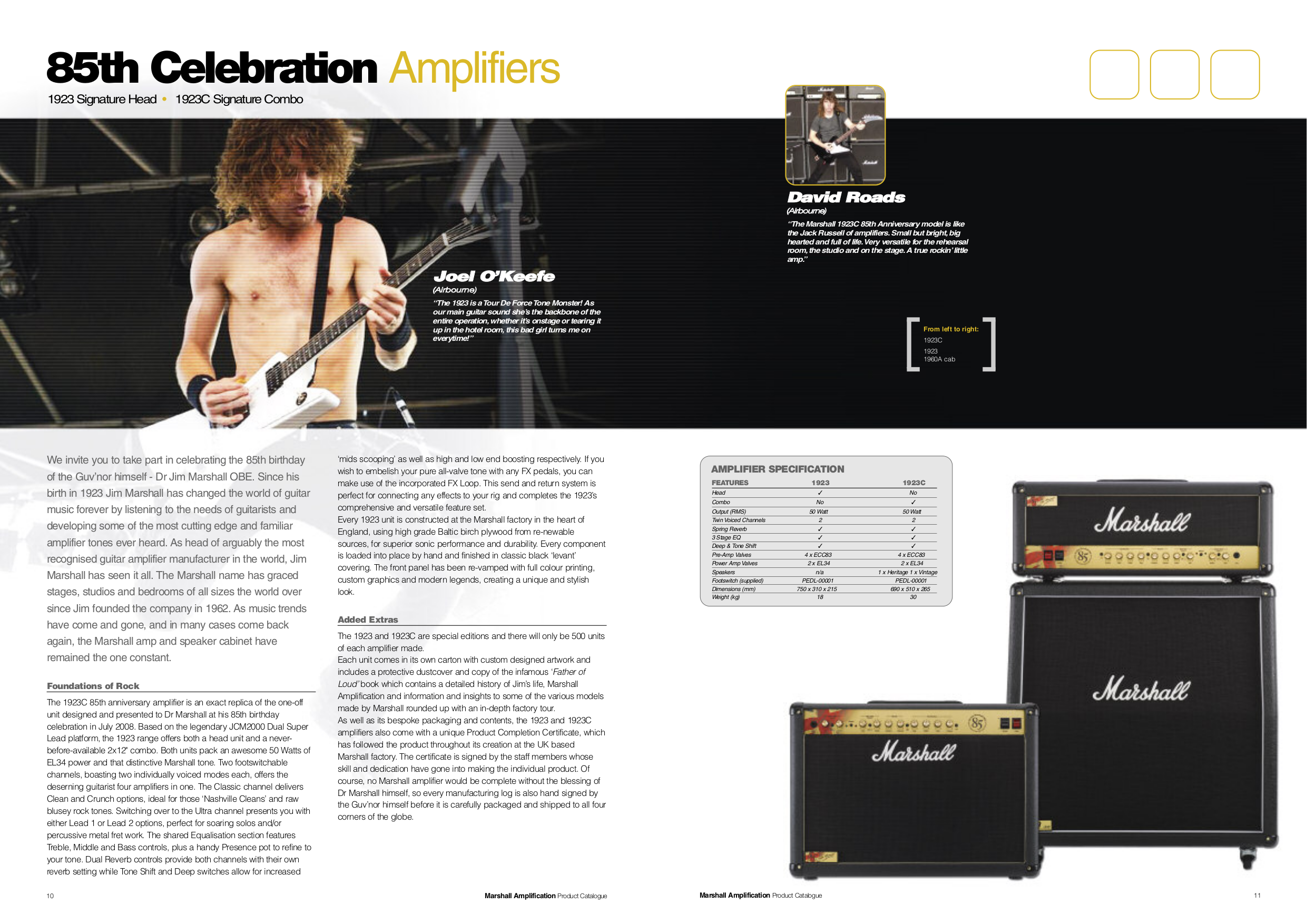 PDF manual for Marshall Amp AS50D